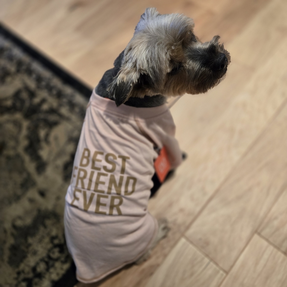 Reddy Pet Pink Best Friend Ever Dog Tee Size Large